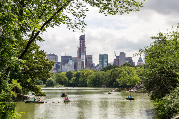 Tödlicher Unfall bei Kutschenfahrt im Central Park: 18-Jähriger verstirbt