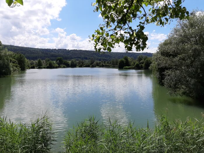 Tödliche Gefahr im Sommer: Was sind die größten Risiken an Badeseen?
