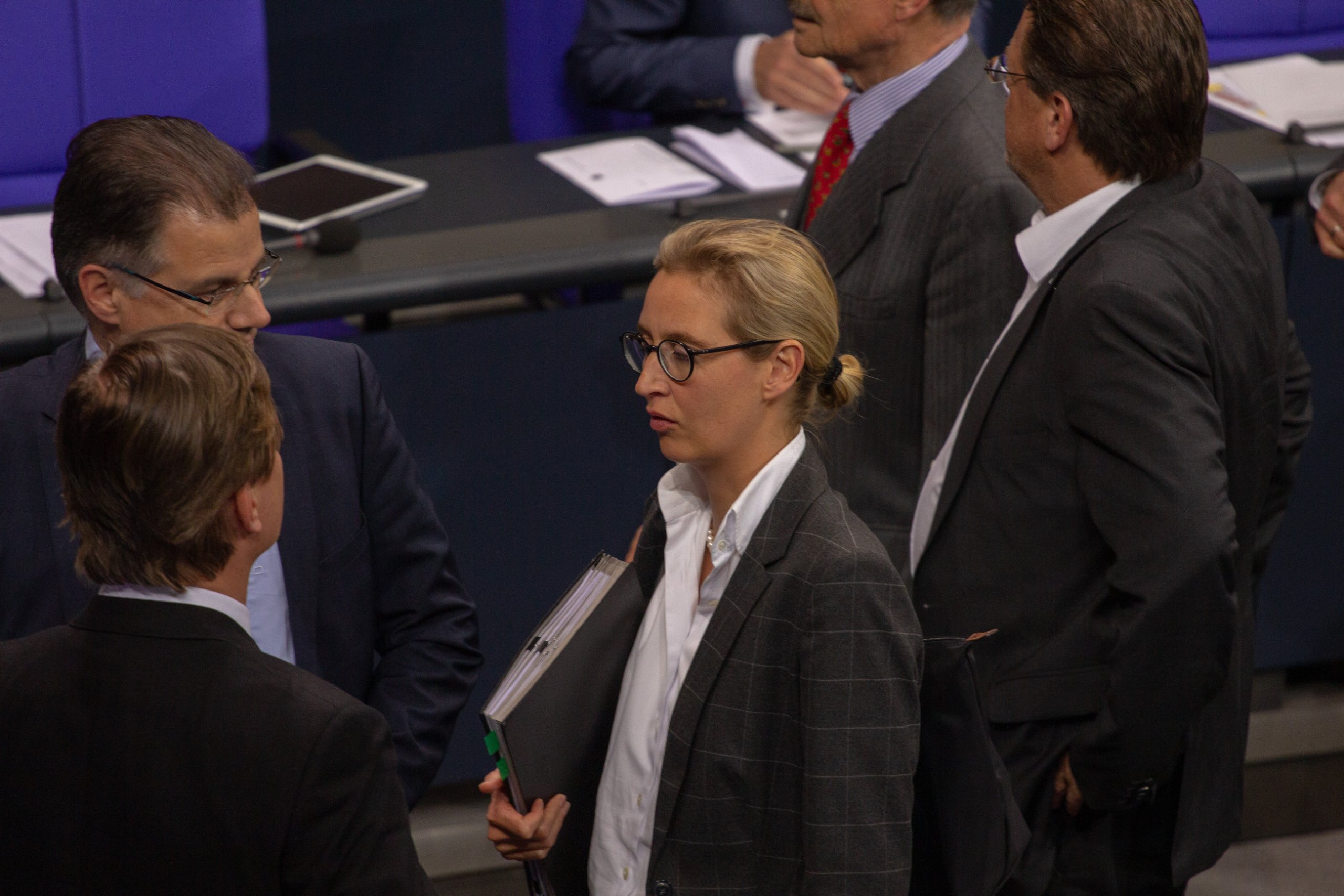 Weidel fordert radikale Reform des Wahlrechts ohne Fünf-Prozent-Hürde