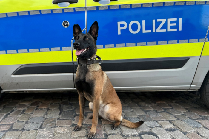 Einbruch in Lagerhalle in Hamburg-Wilhelmsburg
