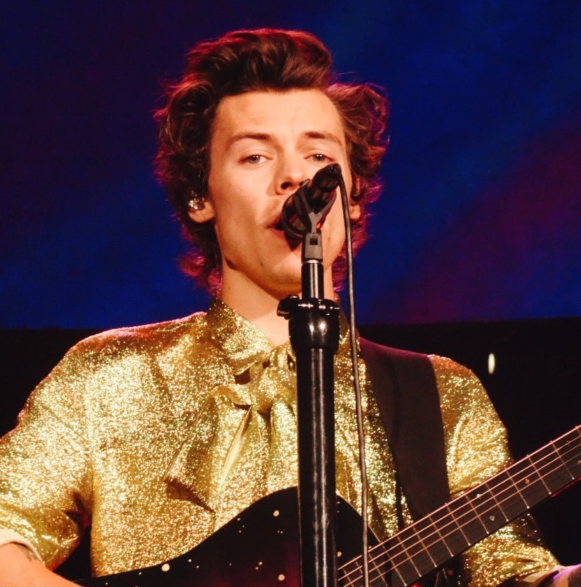 Harry Styles muss seinen Auftritt in Brasilien aus gesundheitlichen Gründen absagen