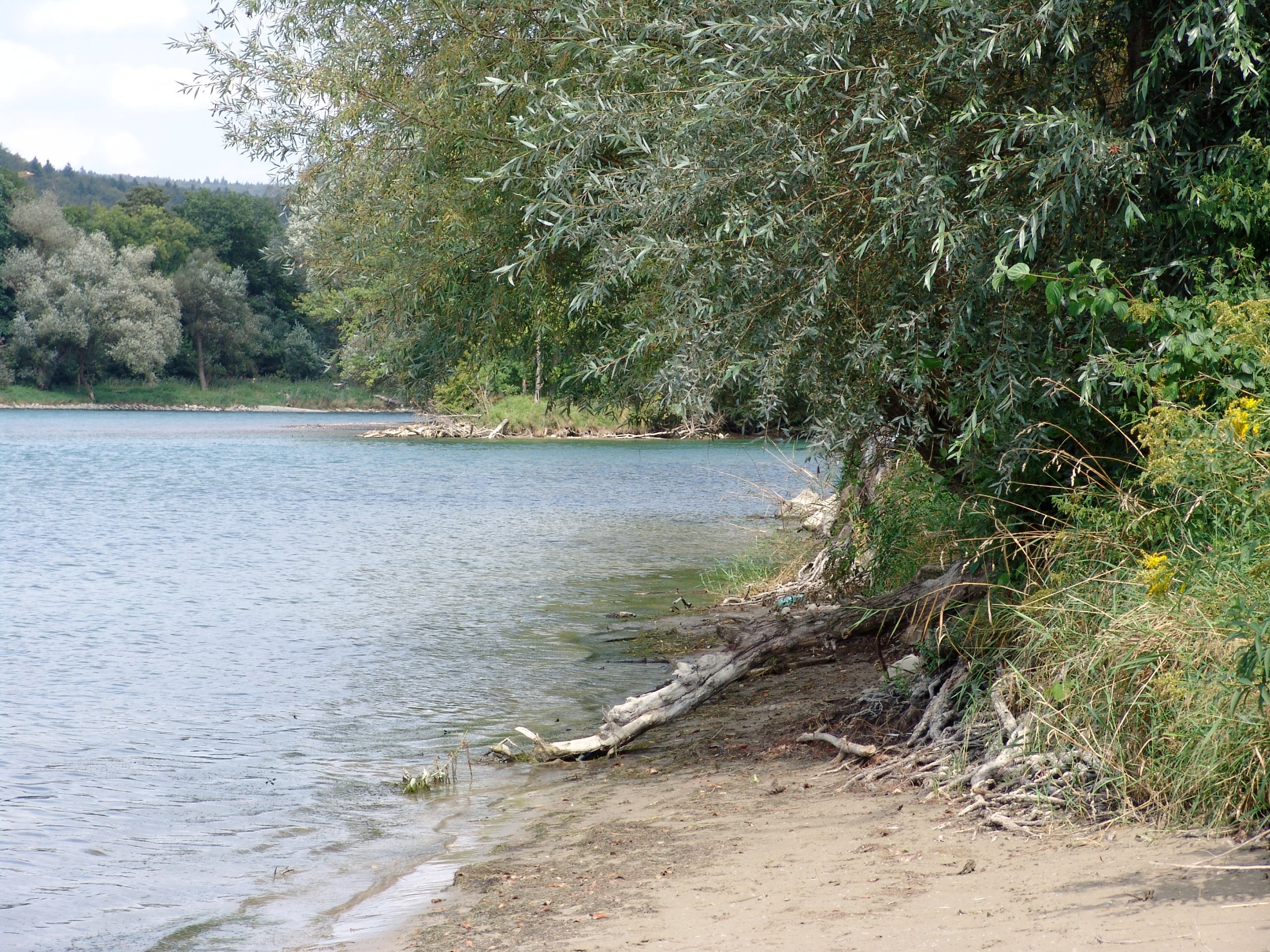 Kölner Rheinpegel erreicht wieder tiefere Werte unter einem Meter
