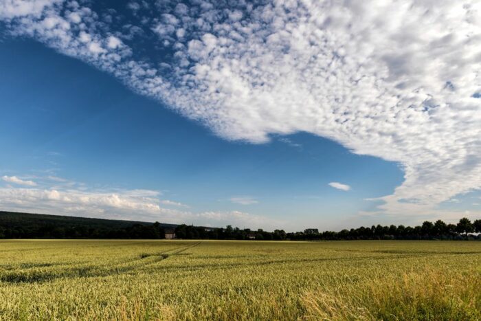 Wettervorhersage für Hannover am 16. August 2026