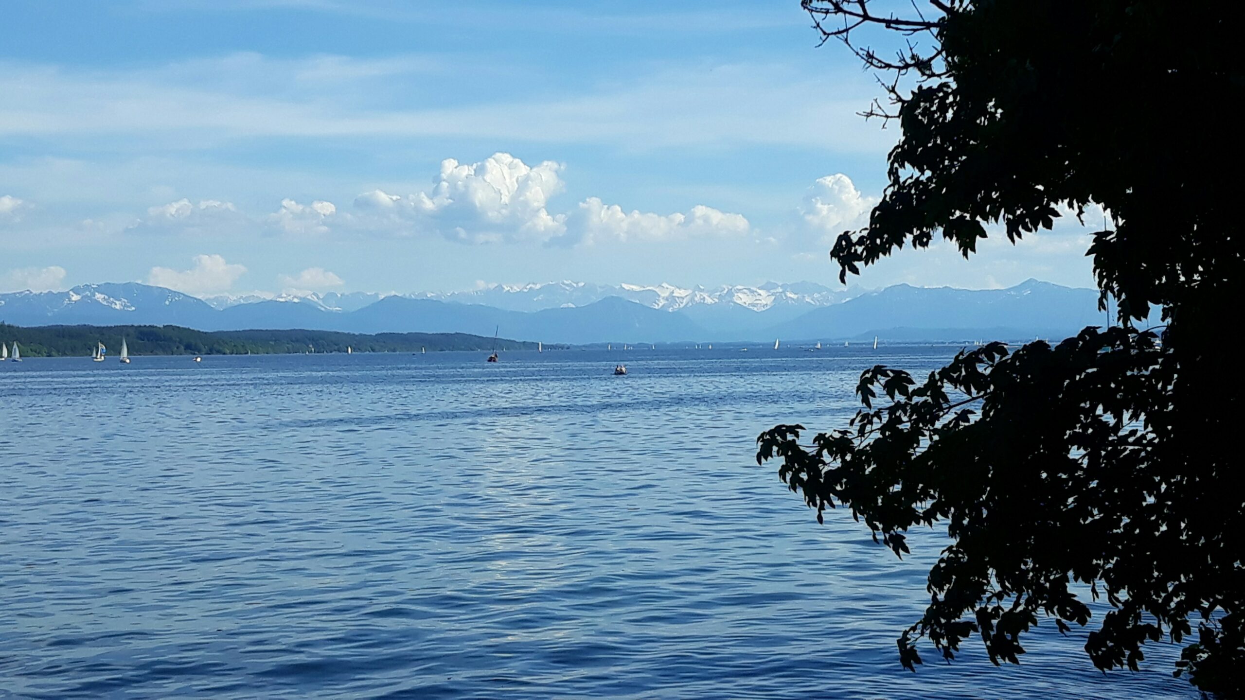 Ursachenforschung nach Tauchunfall im Bodensee: Was war der Auslöser für das Unglück?