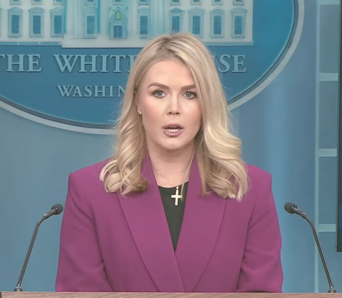 Trump-Sprecherin Leavitt - die oberste Influencerin des Weißen Hauses geht