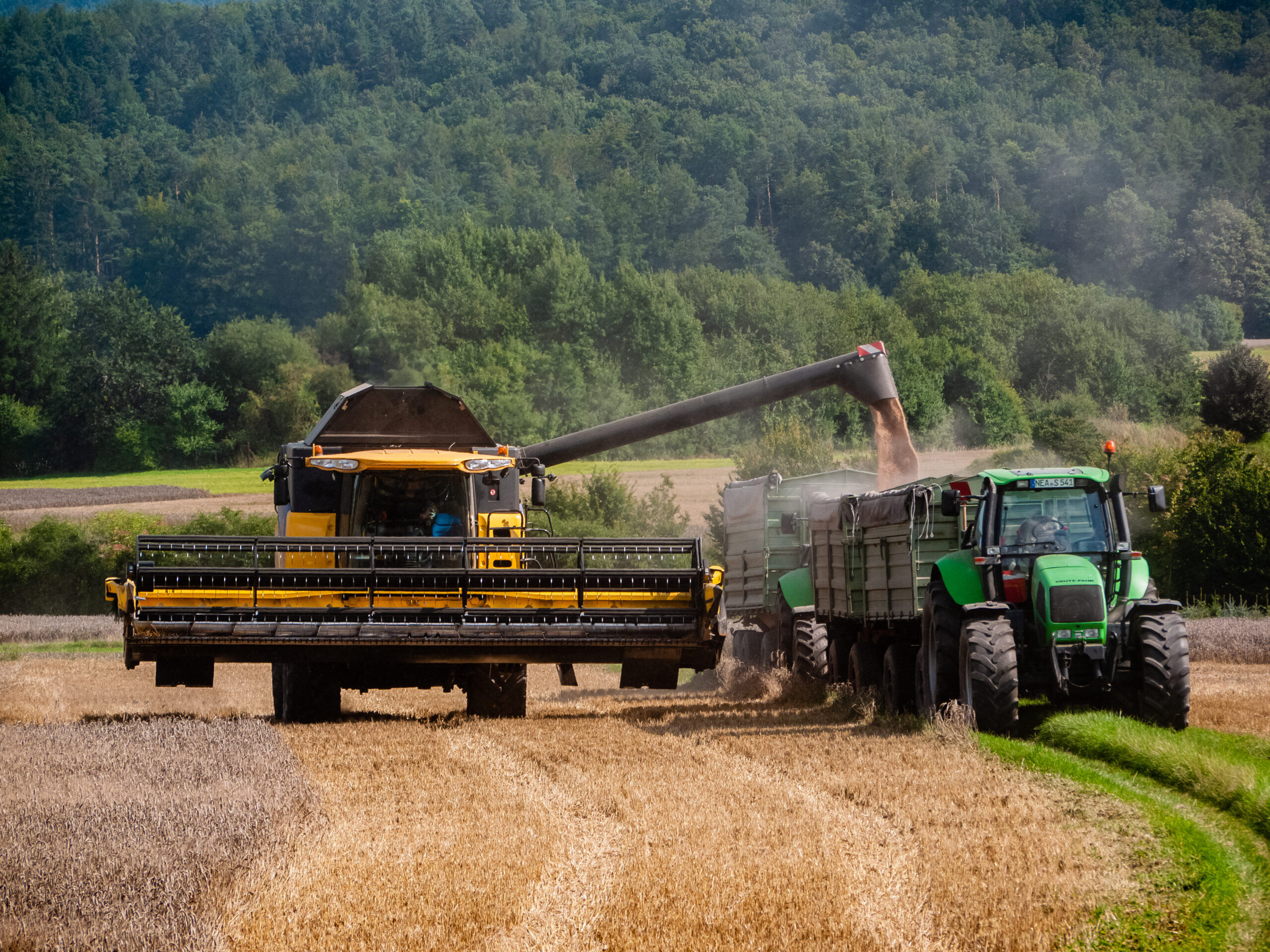 Landwirtschaftsnotlage: Strategien gegen Hitze und Trockenheit entwickeln
