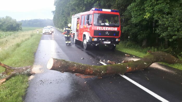 Frau von Baum erschlagen: Unwetter richten schwere Verwüstungen im Westen an