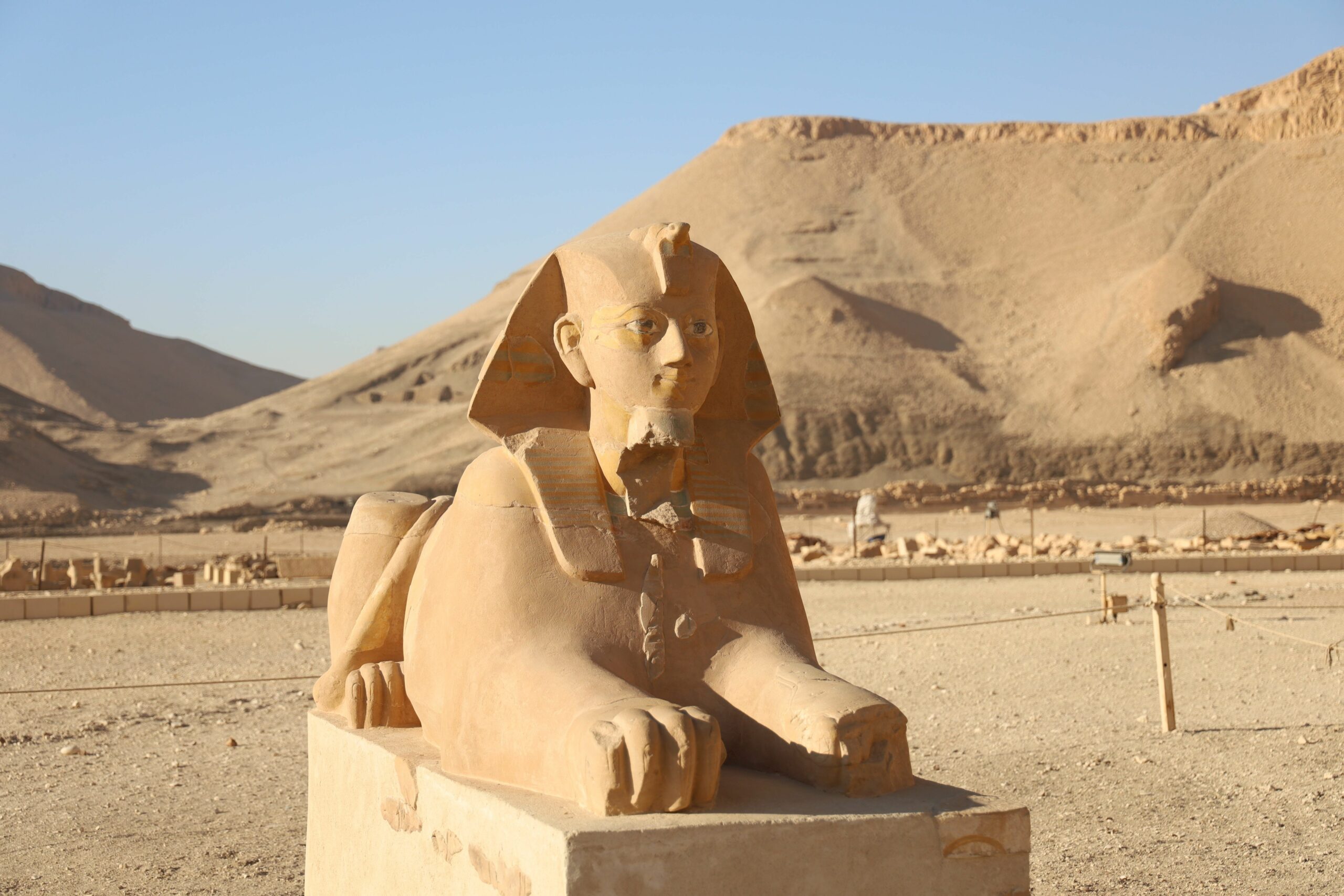 Wüstenvisionen Ägyptens: Risiken und Chancen großer Projekte im Lebensraumschutz