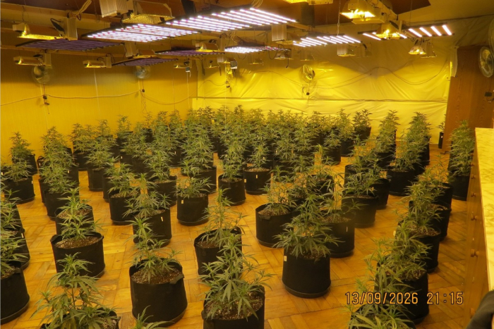 Wulften am Harz: Professionelle Cannabis-Plantage in ehemaliger Gaststätte entdeckt