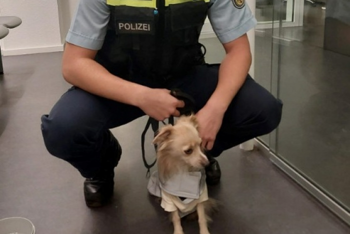 Ungewöhnlicher Einsatz im Bremer Hauptbahnhof