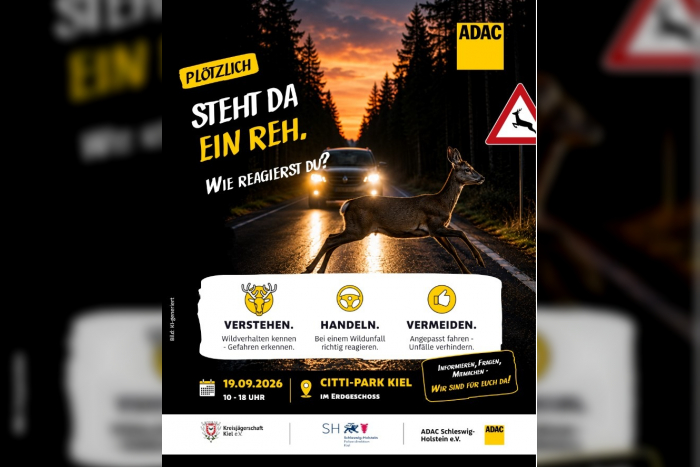 Kiel / Kreis Plön: Wildwechsel in KielKreis Plön