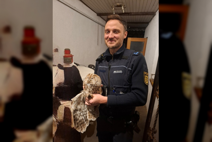 Baden-Baden, Ebersteinburg: Verletzter Waldkauz gerettet