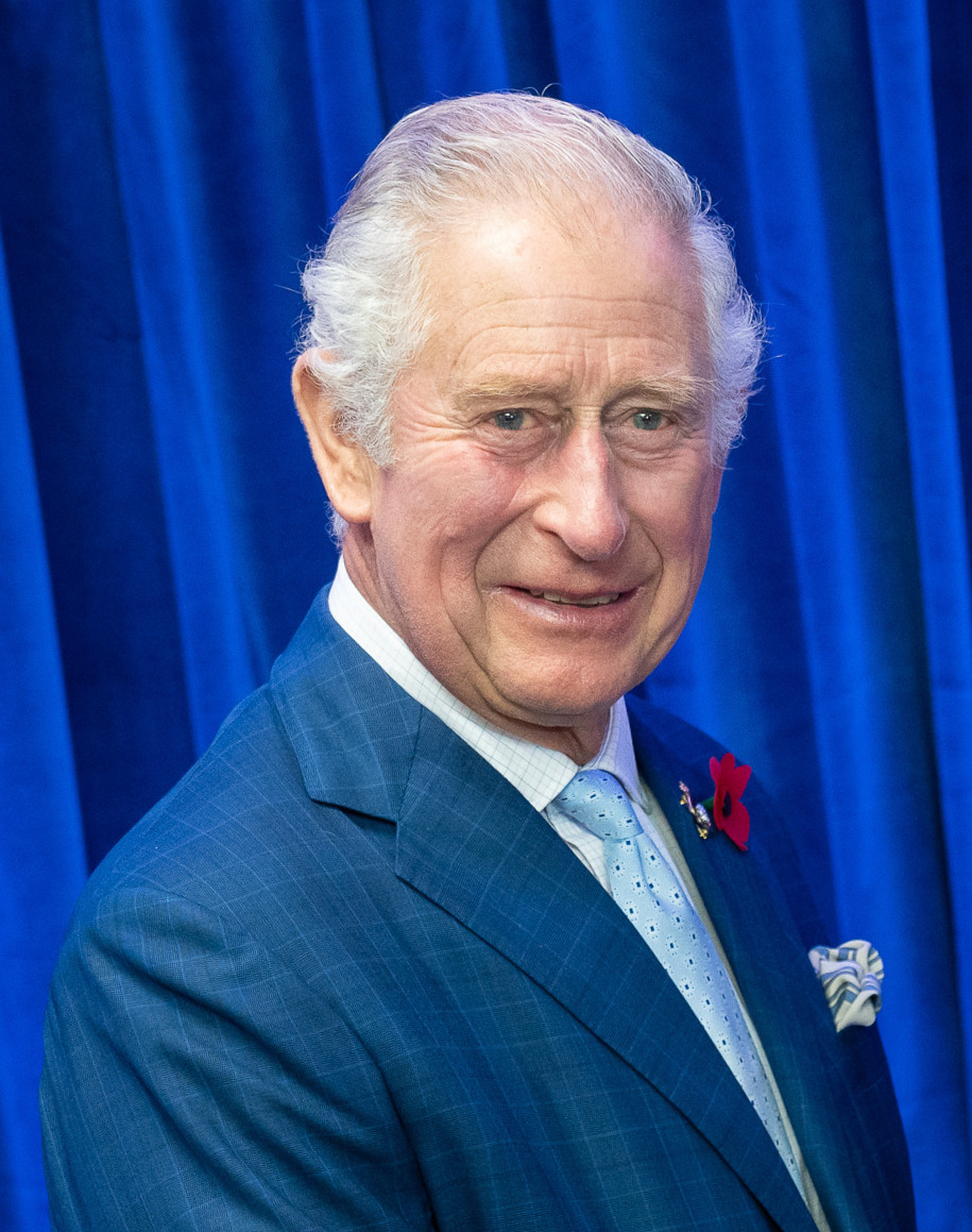 König Charles erläutert Harrys neue Rolle bei Rückkehr nach Großbritannien