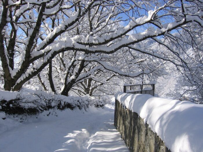 Prognose für den Winter: Fallen an diesem Datum Schneemassen?