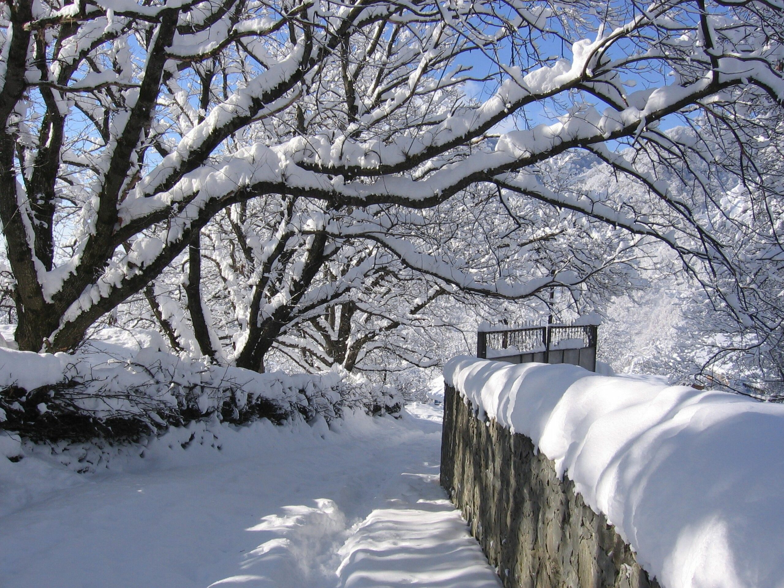 Winterprognosen 2026/27: Mildes Wetter oder Schneefälle zu erwarten?