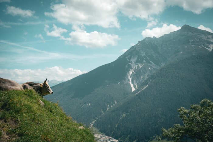 Wanderer aus Frankfurt stürzt in Stubaier Alpen in den Tod