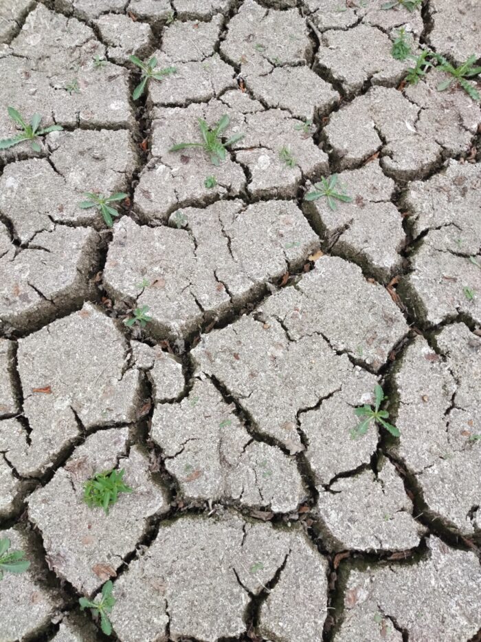 Super-El-Niño braut sich zusammen: Auswirkungen auf Deutschland | Leben & Wissen
