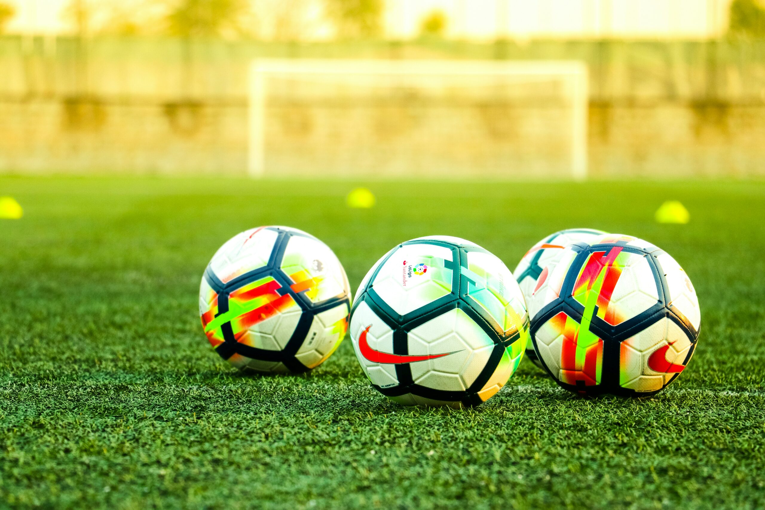SV Tasmania Berlin: Herausforderungen und langfristige Ziele in der Regionalliga Nordost