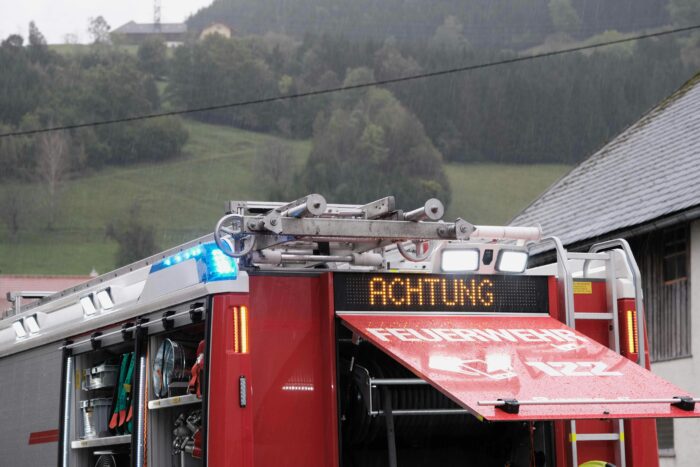 Niedersachsen & Bremen: Mehr als ein Dutzend Pferde vor Feuer gerettet