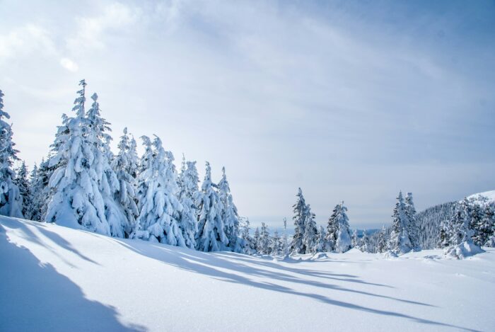 Polarwirbel taumelt: Deutschland droht Kälte-Schock im Spätwinter