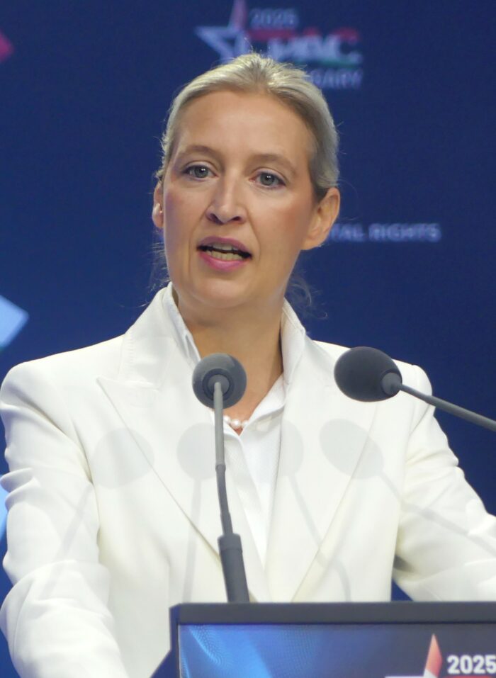 Aus Vereinbarungen austreten: AfD will EU komplett umbauen